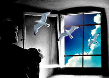 دعوة للحرية والبناء