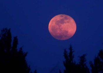 في شُرفةِ الحجر