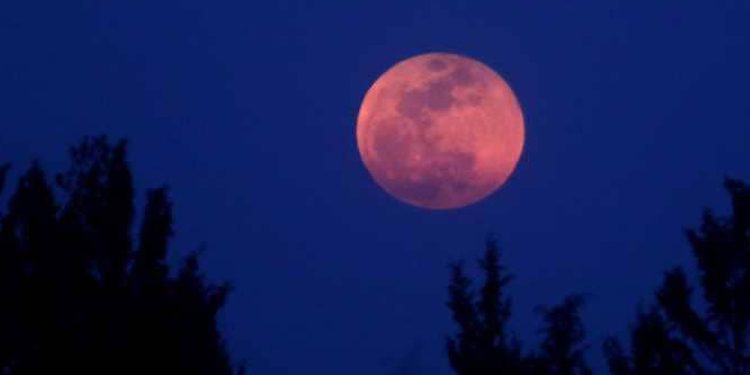 في شُرفةِ الحجر