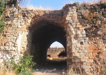 لست يوسف يا أبتي