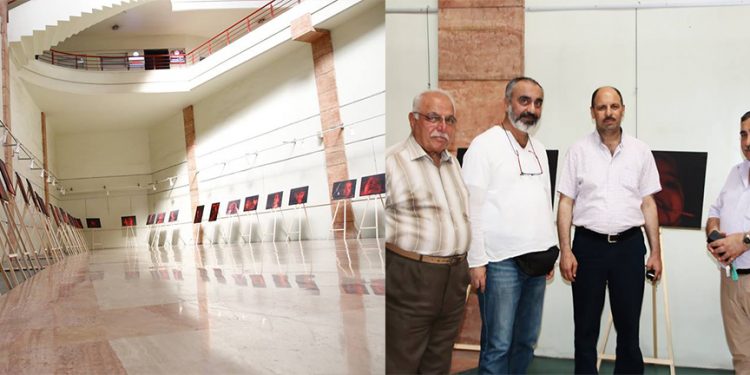 السوريون في معرض أرواح لامعة