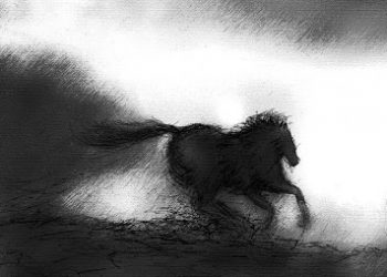 بين الماضي الجليل والحاضر المأزوم والمهزوم