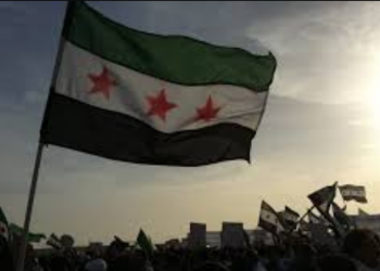 قضيتنا عادلة لا تقبل الوقوف على الرصيف