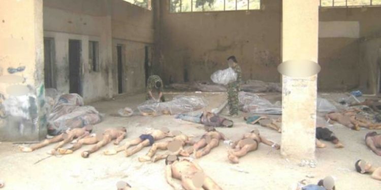 ضحايا التعذيب في سورية.. أحياء داخل السجون ربما