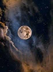 عن ضوء يقشع كل هذا السواد