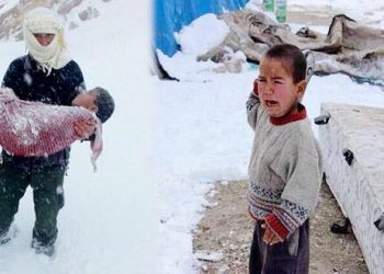 من باحة الأموي أحضرت اليمام