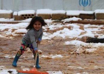 في درة العام الجديد