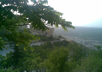 عروس الشمال: ماذا قدمت للثورة؟؟