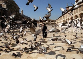 أبناء الشهداء وأسر المعتقلين عندما يتخلى الداعم