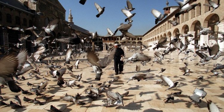 أبناء الشهداء وأسر المعتقلين عندما يتخلى الداعم