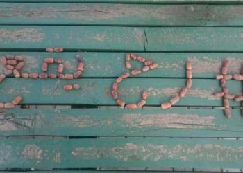 رح يقع: النظام بوصفه تمثالاً