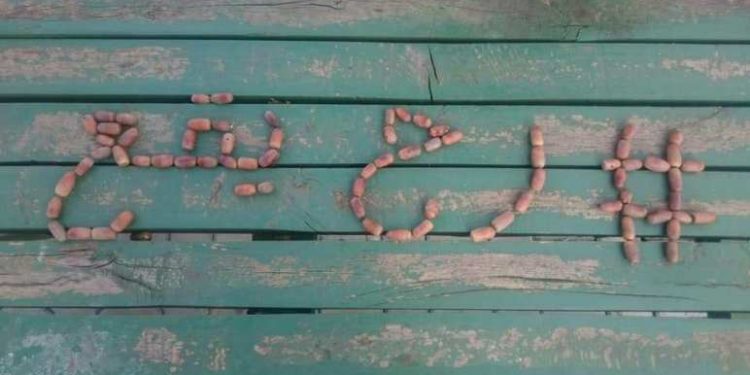 رح يقع: النظام بوصفه تمثالاً