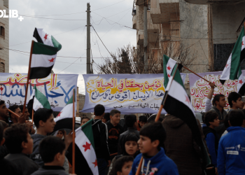 في ذكرى الثورة السورية                                   المراجعة باتت ضرورية