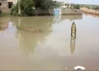 بين المجازفة والمغامرة