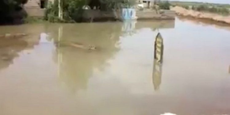 بين المجازفة والمغامرة