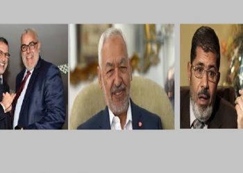 إسلام سياسي في محنة