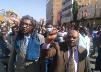 لماذا لم يسقط الأسد؟!                     مقارنات الحالتين السودانية والجزائرية مع السورية