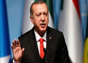 إردوغان سيبحث الشأن السوري مع ترمب وبوتين في اليابان
