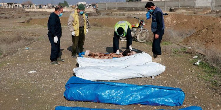 «المقابر الجماعية» في الرقة تكشف صعوبة التعافي بعد الحرب