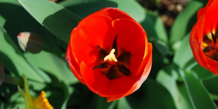 إلى صديقي الذي أزهر فيَّ وأورق!