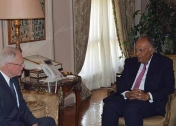 جيفري بحث في القاهرة «حلحلة» الوضع في سوريا