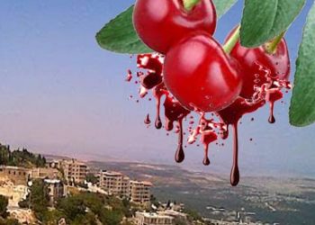 تـِـلكَ الدمــاءُ يُحاكي لونَهــا الكــرزُ