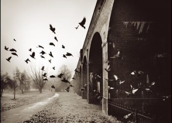 بين الناجين وراء حدود الموت