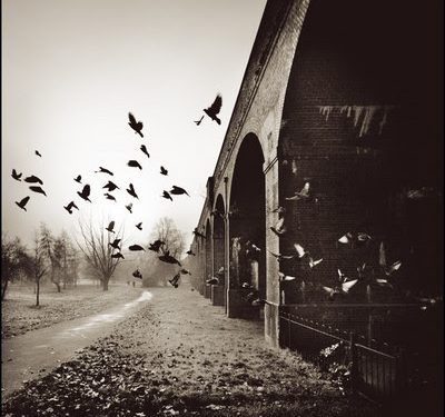 بين الناجين وراء حدود الموت