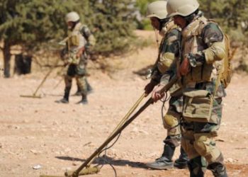 العمل مستمر على إنشاء «جيش الجنوب» لمجابهة النفوذ الإيراني