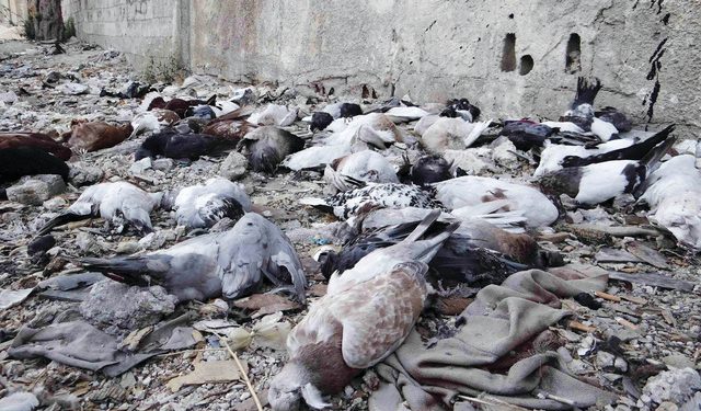 الكيماوي الأسدي: مجزرة القرن