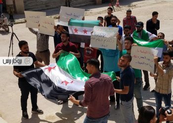 الثورة السورية بين الصلابة الجذرية والمرونة السياسية