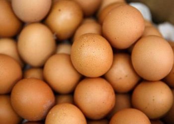 رهان قاتل مقابل مبلغ زهيد.. أكل 42 بيضة فمات