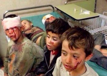 إدلب تنزف لكنها لا تموت: باقية ما بقي الزيتون