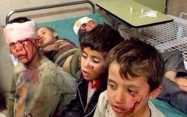 إدلب تنزف لكنها لا تموت: باقية ما بقي الزيتون