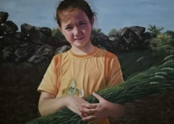 طائرة في الحصار