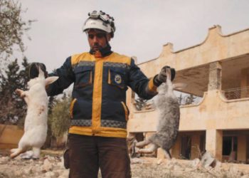 1800 ضربة على شمال غربي سوريا خلال 72 ساعة