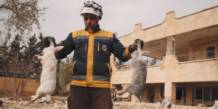 1800 ضربة على شمال غربي سوريا خلال 72 ساعة