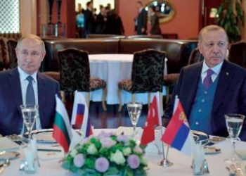 ﺑﻮﺗﻴﻦ ﻭﺇﺭﺩﻭﻏﺎﻥ ﻳﺪﻋﻮﺍﻥ ﺇﻟﻰ ﻫﺪﻧﺔ ﻓﻲ ﺇﺩﻟﺐ ﻭ ‏« ﺣﻠﻮﻝ ﺟﺬﺭﻳﺔ ‏» ﻓﻲ ﺳﻮﺭﻳﺎ