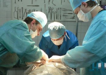 بين الطب والسياسة