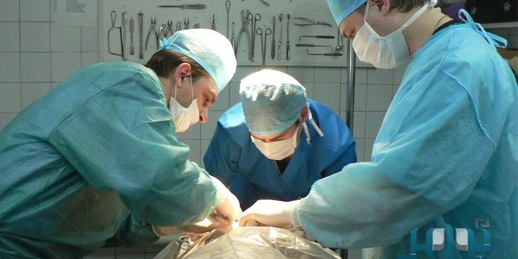 بين الطب والسياسة