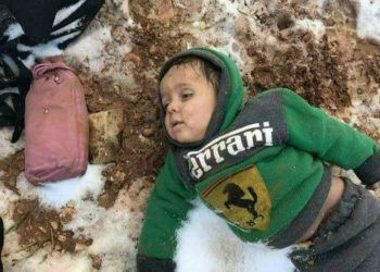 طالت …وحان قطافها