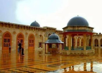 فرحُ المرايا