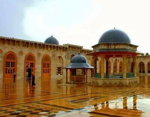 فرحُ المرايا