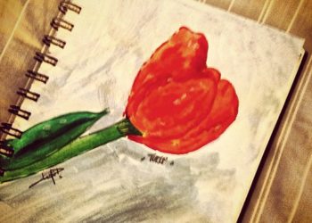 كيف انسللت لعزلتي