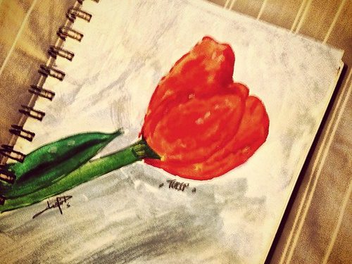 كيف انسللت لعزلتي