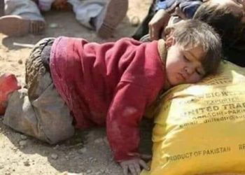 التحرك التركي هل يوقف المقتلة في إدلب؟