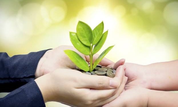 في لفتة إنسانية.. سيدة تركية تسدد الديون عن سوريين غربي البلاد