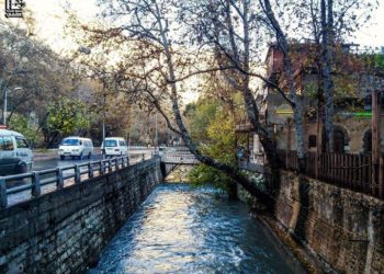 ودمشقُ ليْ صباها أفتديهِ