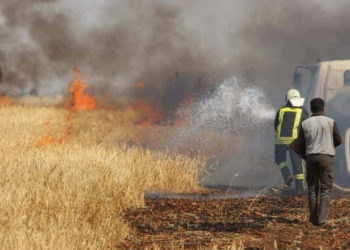 صراع على القمح السوري… بسلاح الدولار والحرائق