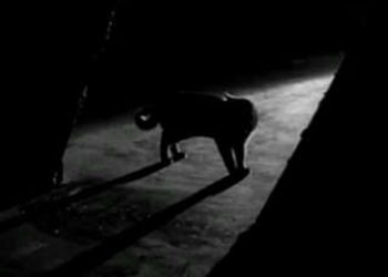 لصٌ وقطٌ في الحصار